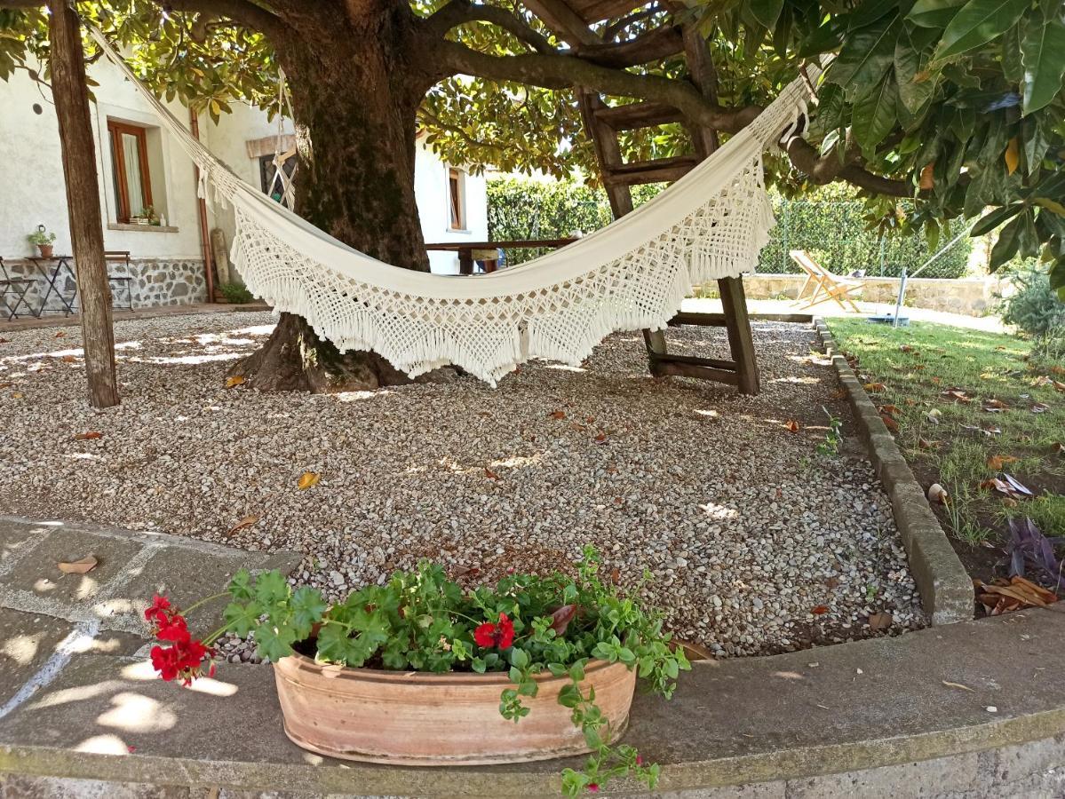 B&B Sole Mio Velletri Buitenkant foto
