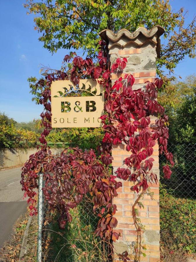 B&B Sole Mio Velletri Buitenkant foto