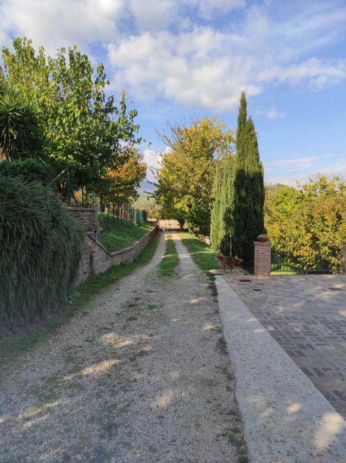 B&B Sole Mio Velletri Buitenkant foto
